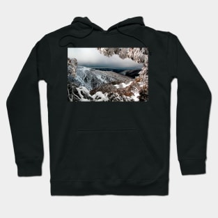 Alone on the mountainside in winter Hoodie